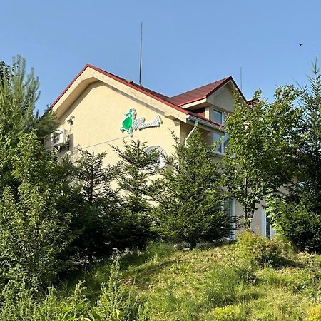 Panna Hotel Solochyn Exterior photo